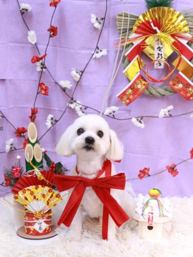 20230112まるくん